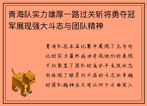 青海队实力雄厚一路过关斩将勇夺冠军展现强大斗志与团队精神