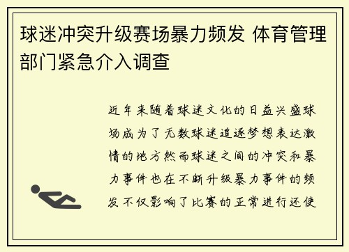 球迷冲突升级赛场暴力频发 体育管理部门紧急介入调查